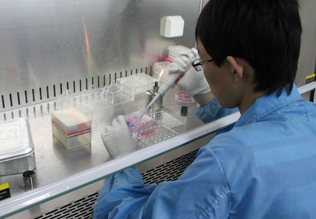 R&D Laboratory